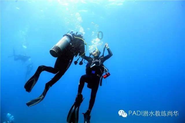 影视行业挤掉泡沫、回归正轨，是什么因素影响了内娱演员市场的生态？